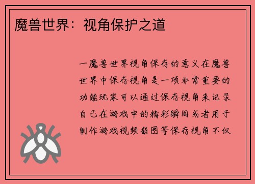 魔兽世界:视角保护之道