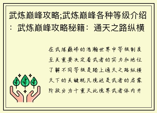 武炼巅峰攻略;武炼巅峰各种等级介绍:武炼巅峰攻略秘籍:通天之路纵横天下